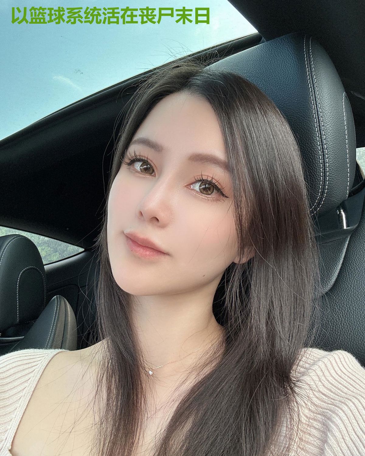 以篮球系统活在丧尸末日