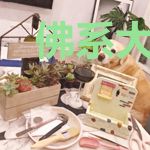佛系大魔头