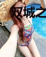双城之战：我在皮城当议员