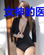女神的医武高手