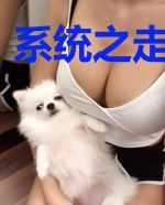 系统之走向巅峰