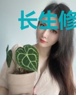 长生修行在都市慕容风徐婉儿