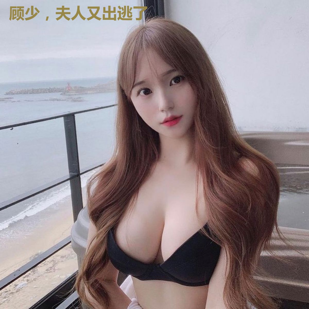 顾少，夫人又出逃了