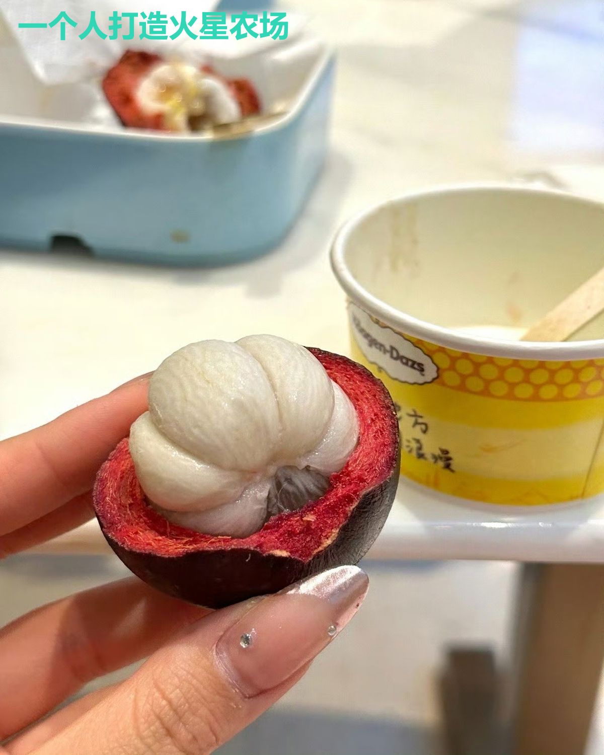 一个人打造火星农场