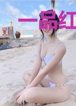 一品红尘仙