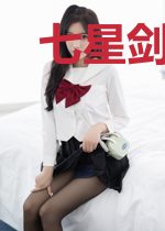 七星剑与六瓣银镖