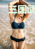 三国武侯传
