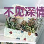 不见深情如昨日