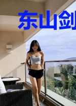 东山剑仙录