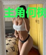 主角何树赖华光