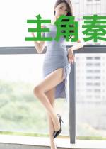 主角秦为安王也