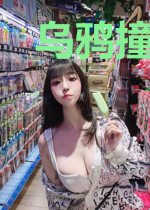 乌鸦撞飞机