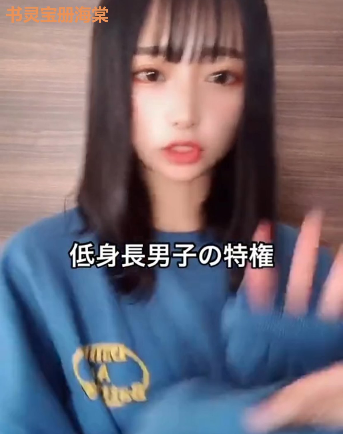 书灵宝册海棠
