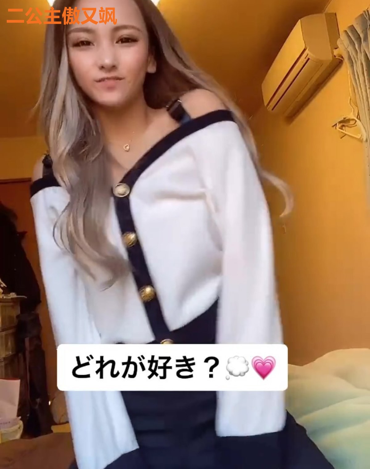 二公主傲又飒