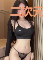 二次元的崩坏律者