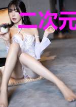 二次元:完美恋人
