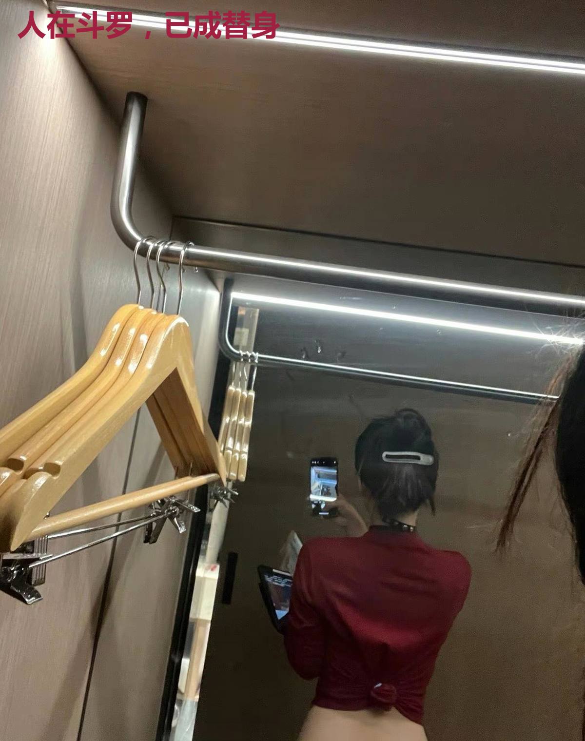人在斗罗,已成替身