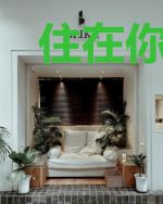 住在你心里颜少尊