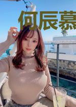 何辰慕容烟容
