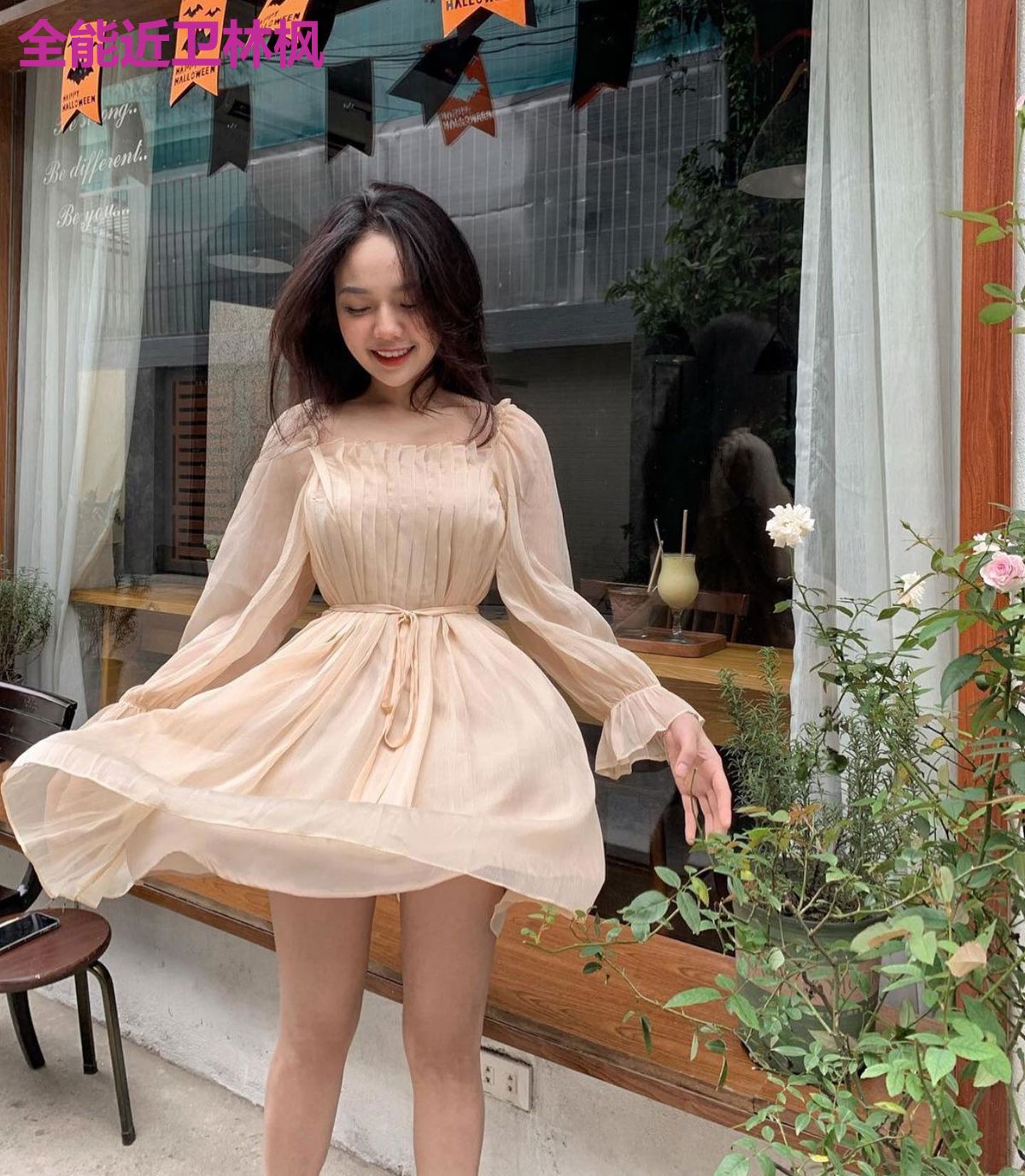 全能近卫林枫