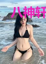 八神轩辕传