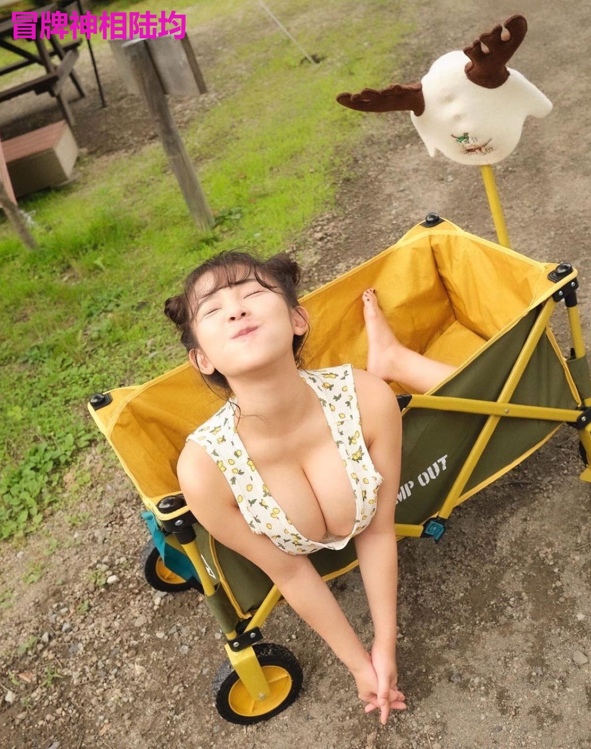 冒牌神相陆均
