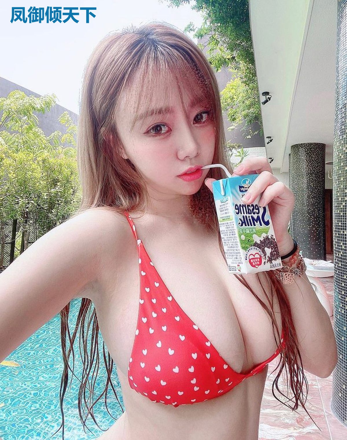 凤御倾天下