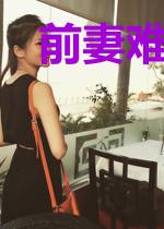 前妻难追:总裁的隐婚娇妻