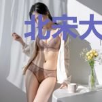 北宋大反贼