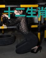 十二生肖如月传