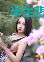 半生悲欢痴缠