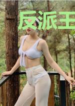 反派王爷的自我修养