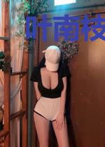 叶南枝战北寒
