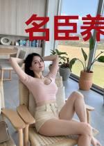 名臣养成系统