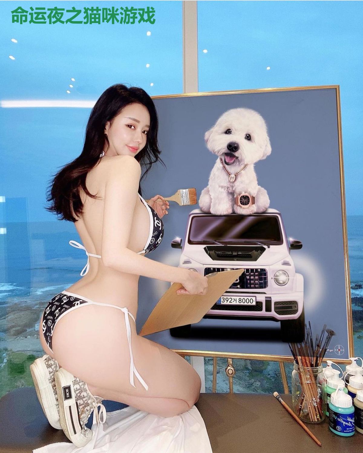 命运夜之猫咪游戏