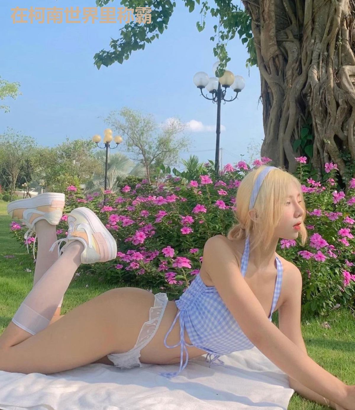 在柯南世界里称霸