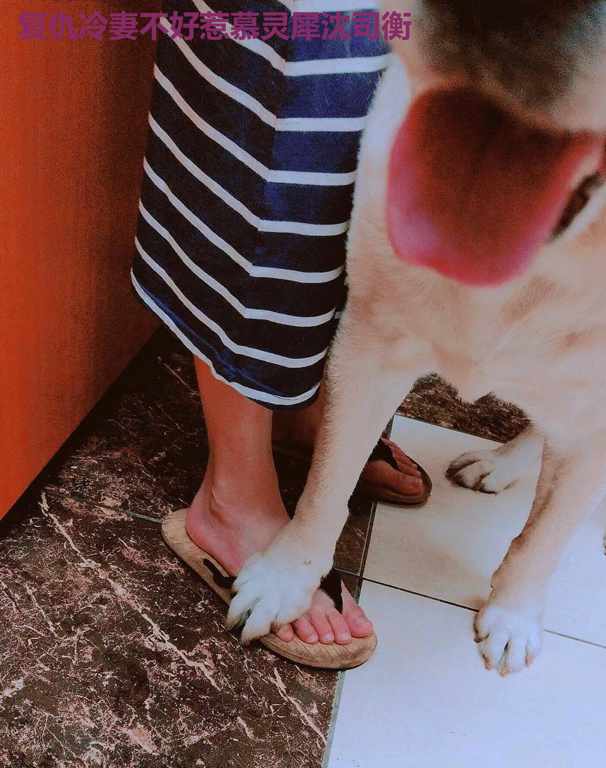 复仇冷妻不好惹慕灵犀沈司衡