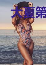 大夏第一纨绔江尘慕容琳