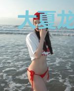 大夏龙雀传