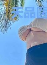 天品医仙叶枫苏霓裳