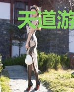 天道游戏之率土之滨