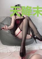 天降末世:星际商人闯天下
