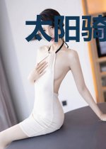 太阳骑士的传火之旅