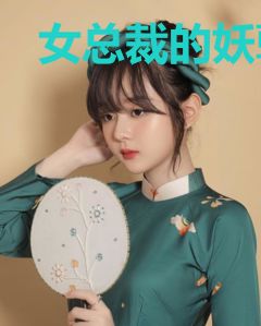 女总裁的神医老公