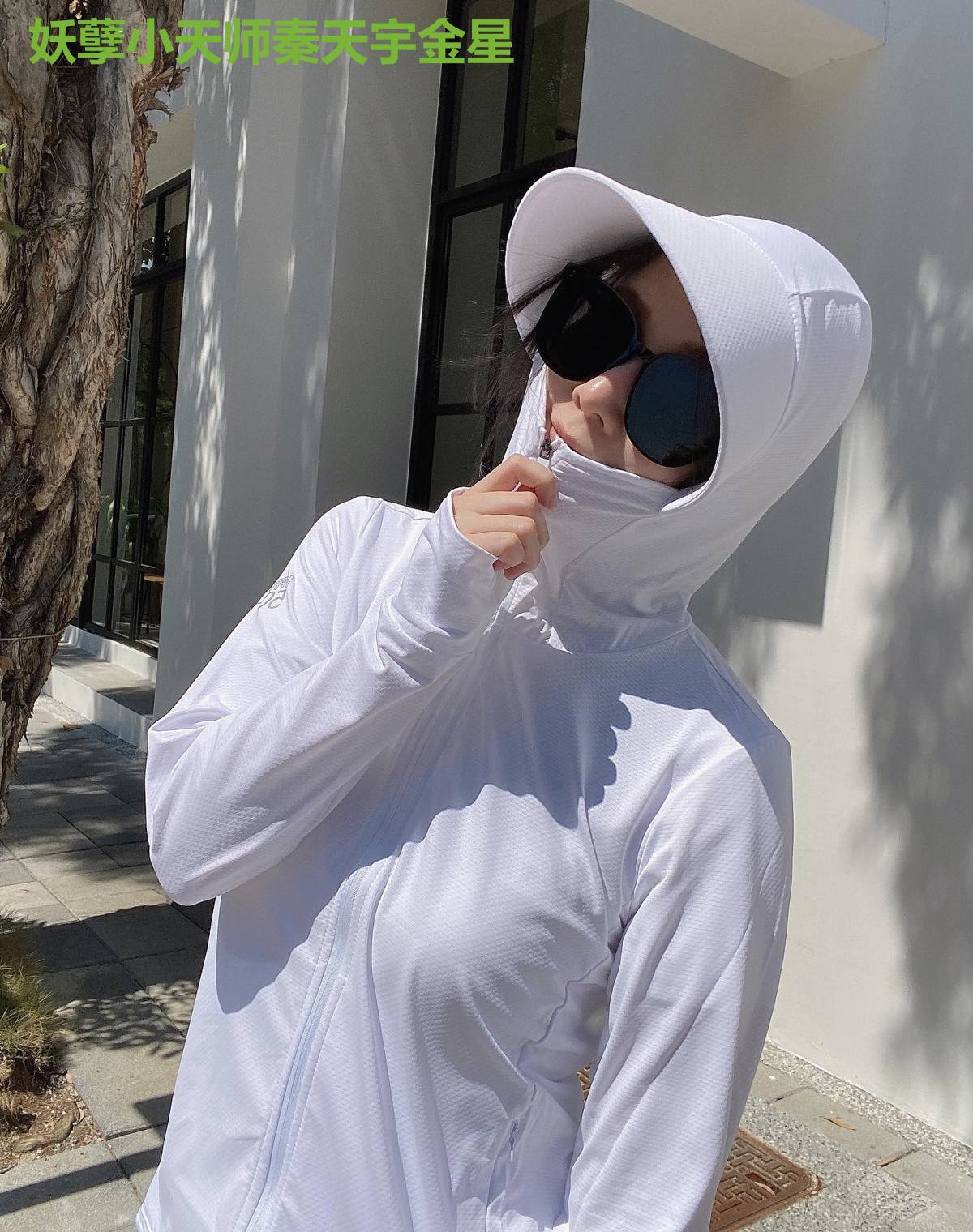 妖孽小天师秦天宇金星