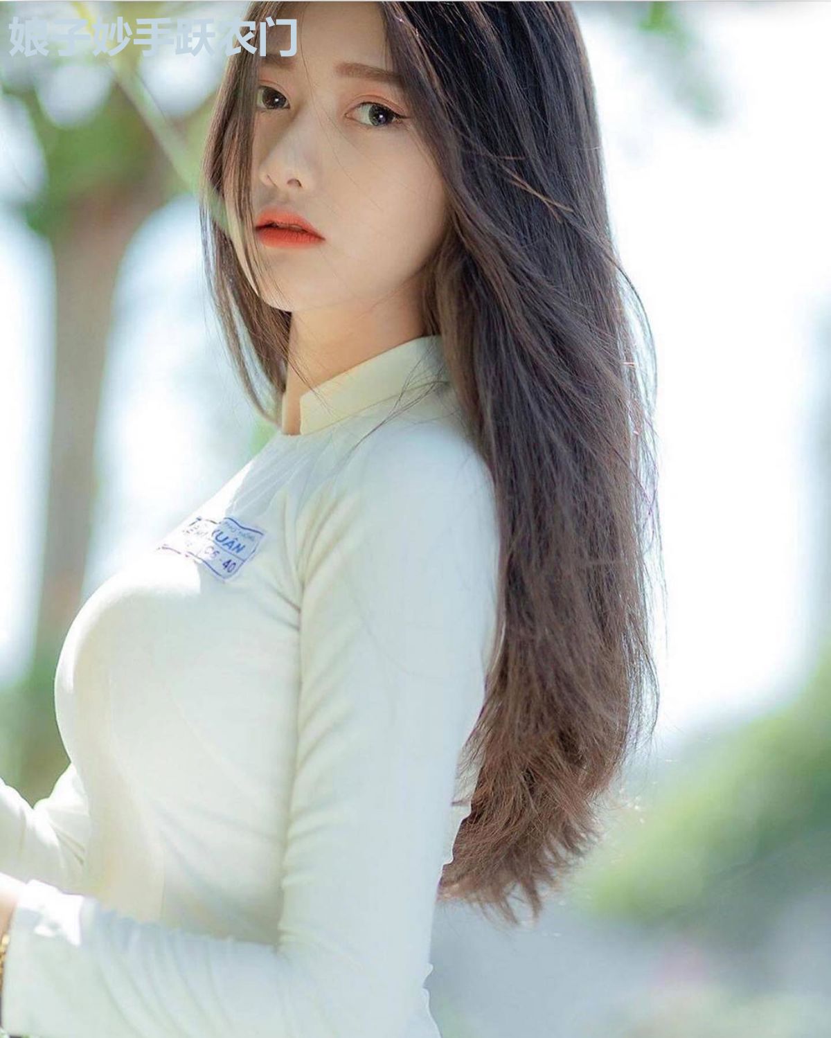 娘子妙手跃农门