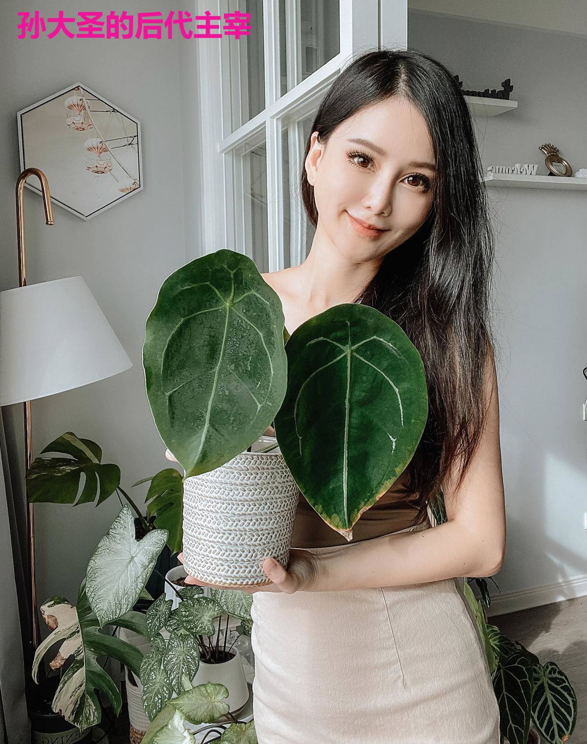 孙大圣的后代主宰