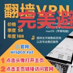 完美避坑的大师兄美滋滋
