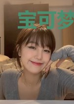 宝可梦之龙系天王