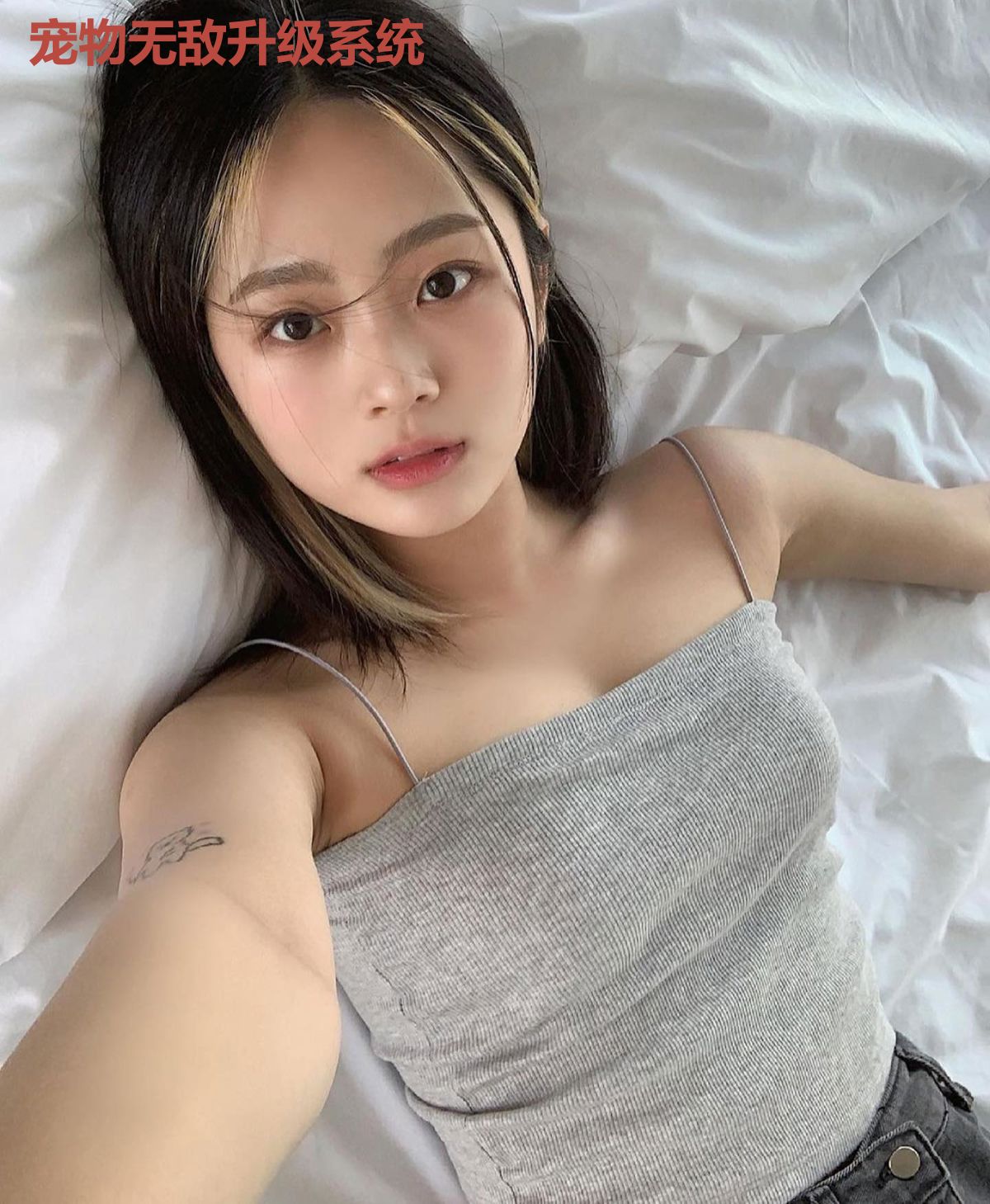 宠物无敌升级系统